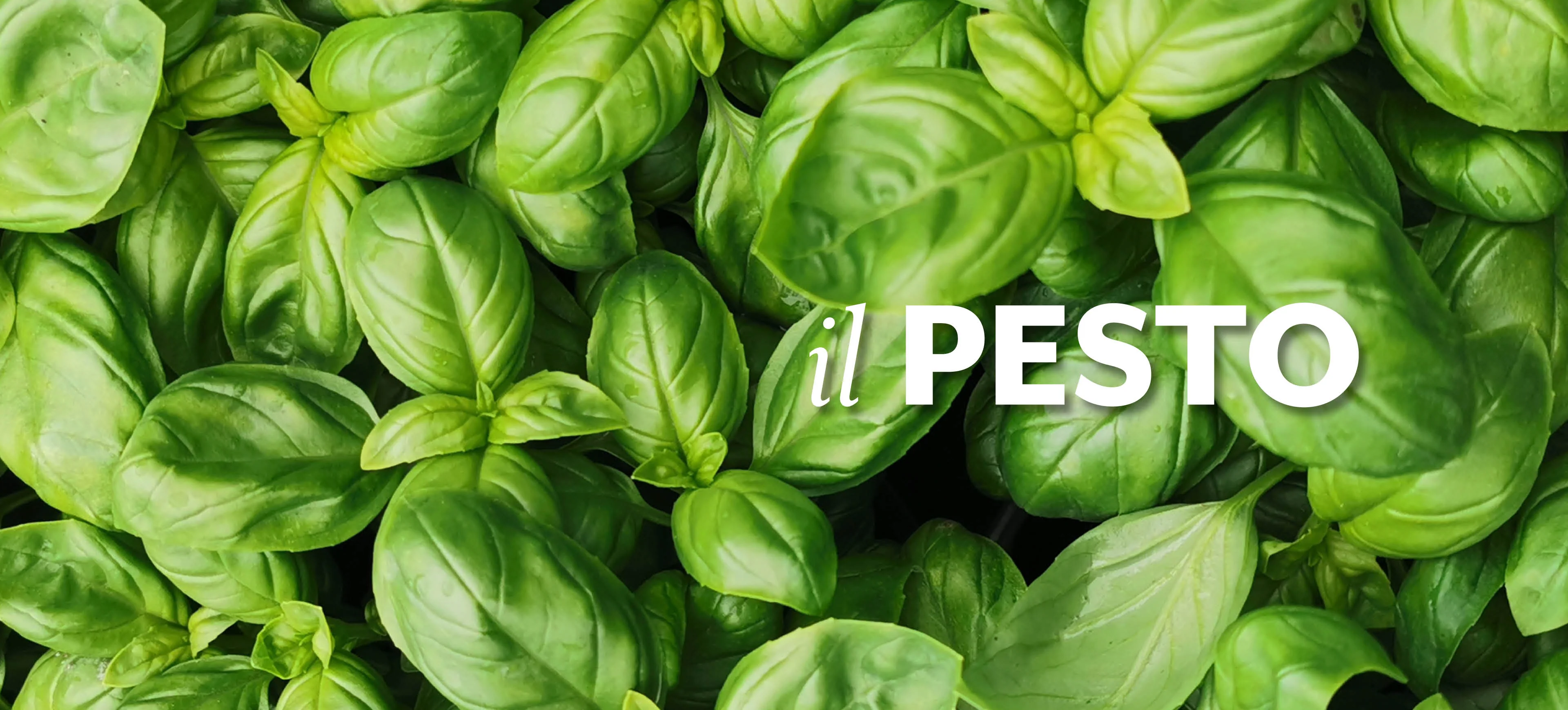 L'excellence italienne à votre table